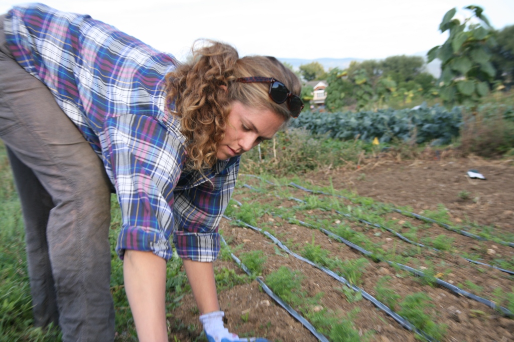 Mel Piazza is a first-year intern at the Farmer Cultivation Center in Niwot, Colorado.